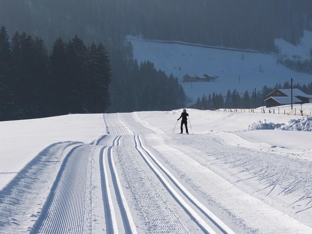 Landgasthof Pfeffermuehle Kotschach-Mauthen Bilik gambar